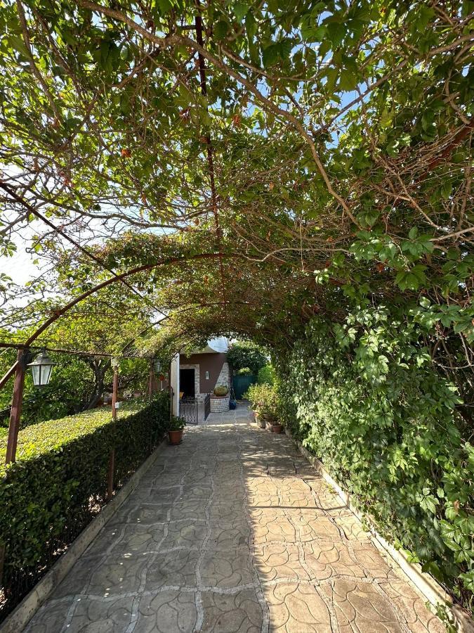 Villa Mariuccia سيراكوزا المظهر الخارجي الصورة